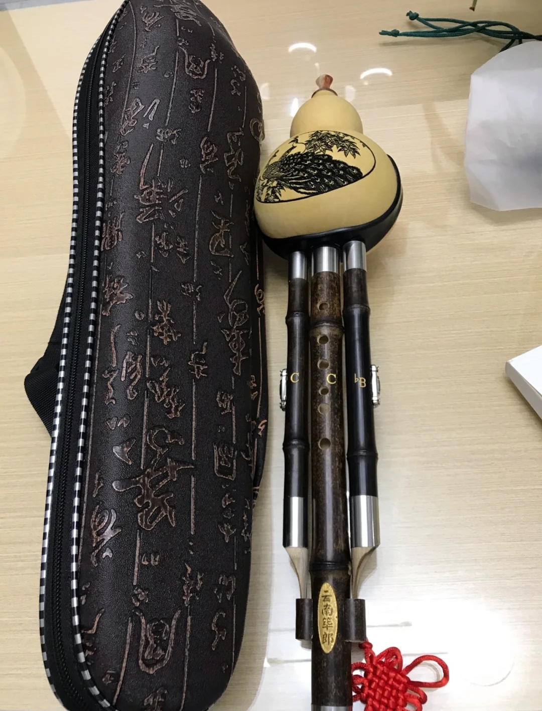 Traditional Chinese Instruments: Strings of Eternity (2024)