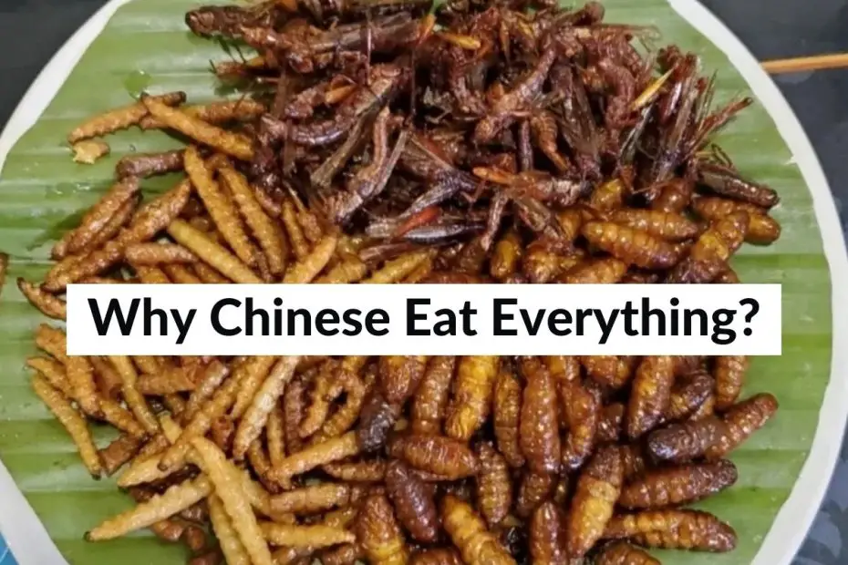 why chinese eat everything