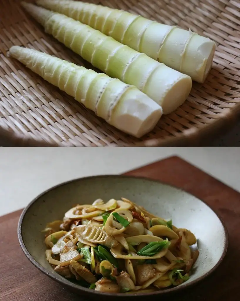 Chinese Bamboo Food