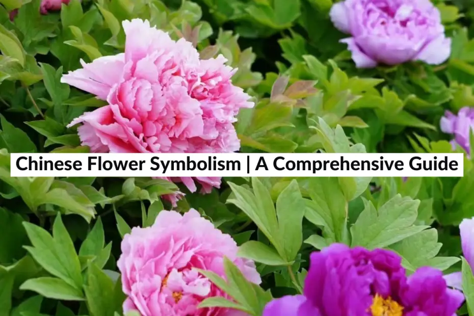 chinese flower symbolism
