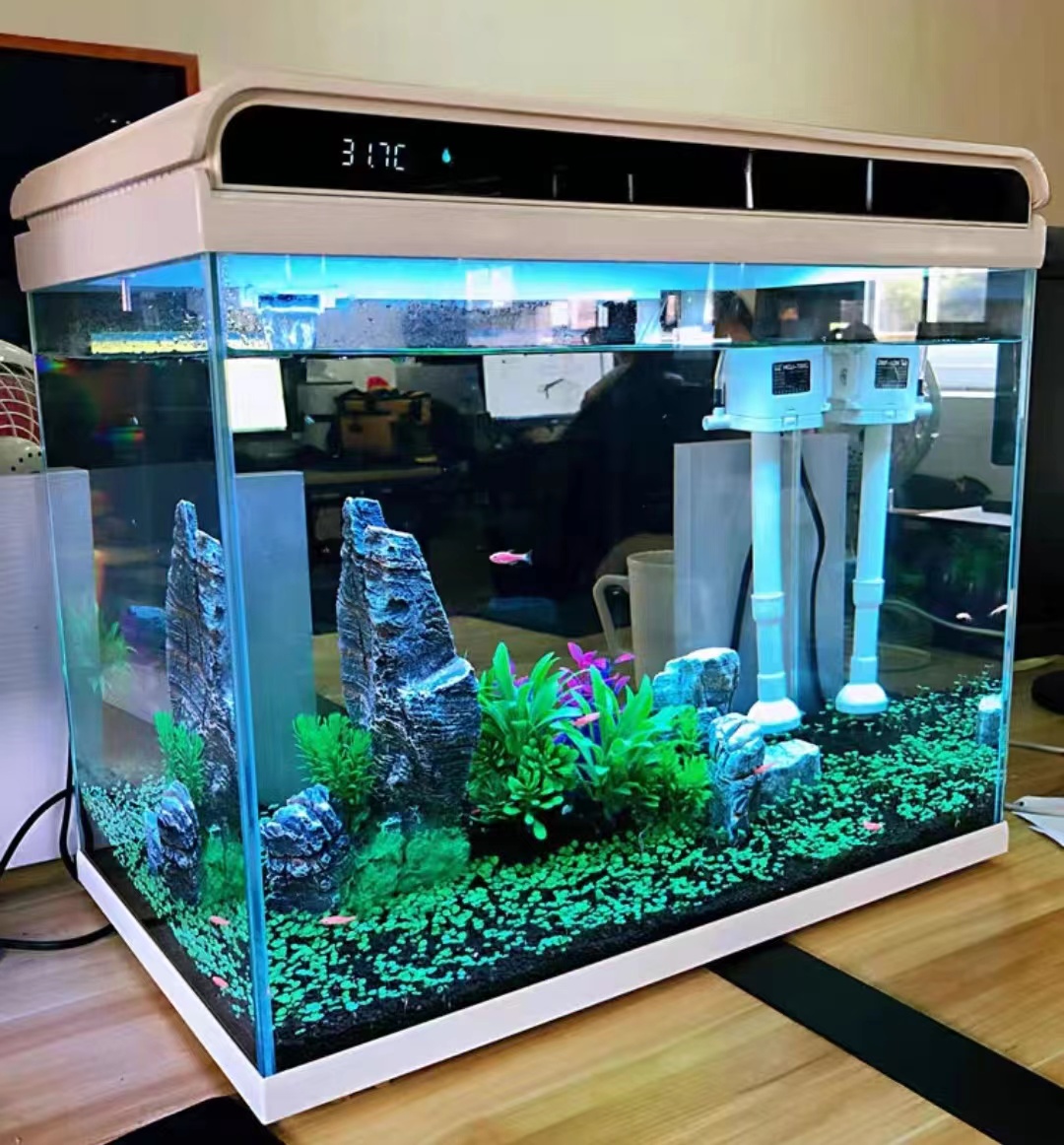 Chinese Housewarming Gift for a Prosperous Home (2025)