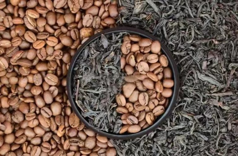 Chinese Gunpowder Tea: All You Need To Know (2023)