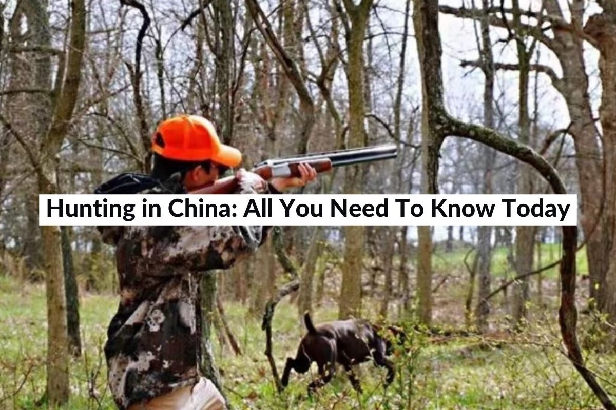 Hunting in China All You Need To Know Today (2024)