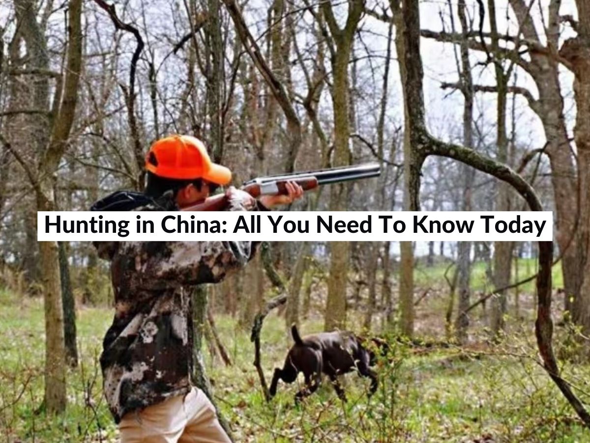 Hunting in China All You Need To Know Today (2024)