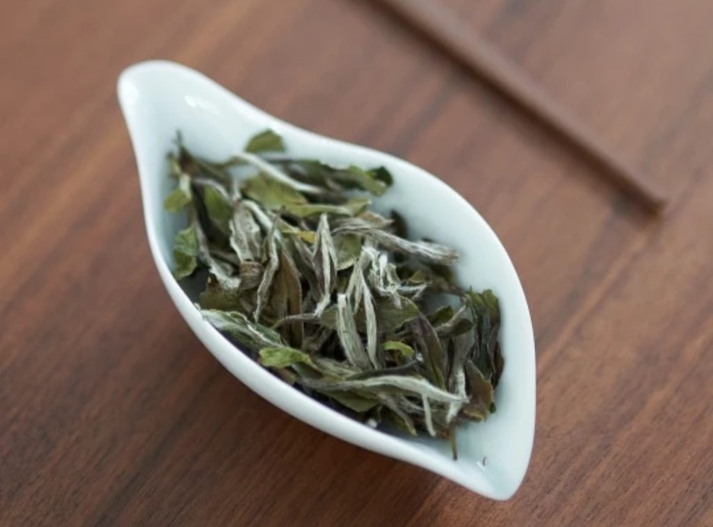 Green Tea vs White Tea