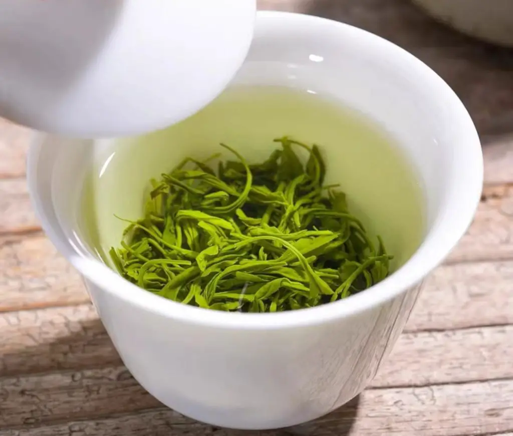 Green Tea vs White Tea