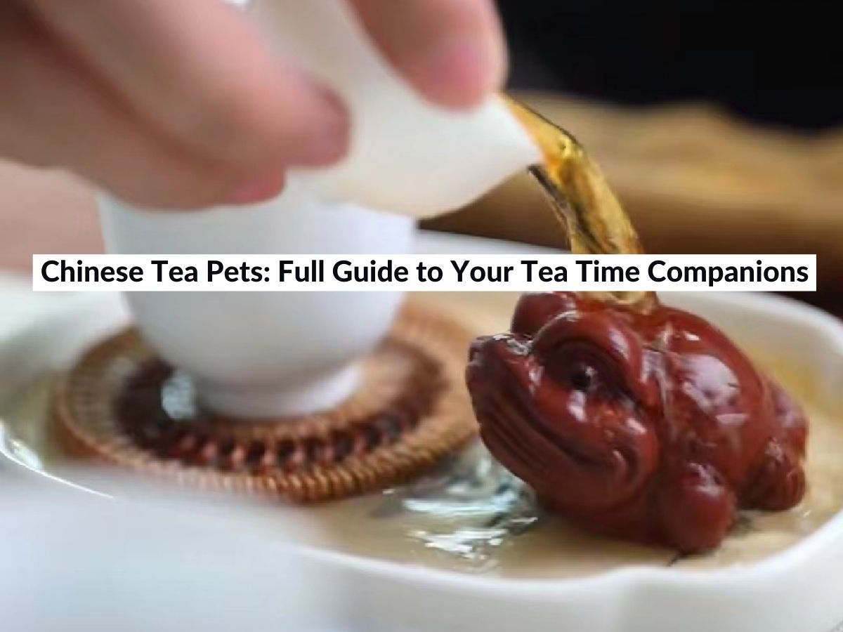 Chinese Tea Pets Full Guide to Your Tea Time Companions (2024)
